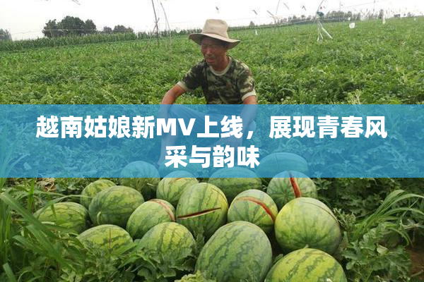 越南姑娘新MV上线，展现青春风采与韵味
