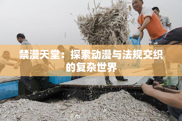 禁漫天堂：探索动漫与法规交织的复杂世界