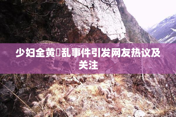 少妇全黄婬乱事件引发网友热议及关注