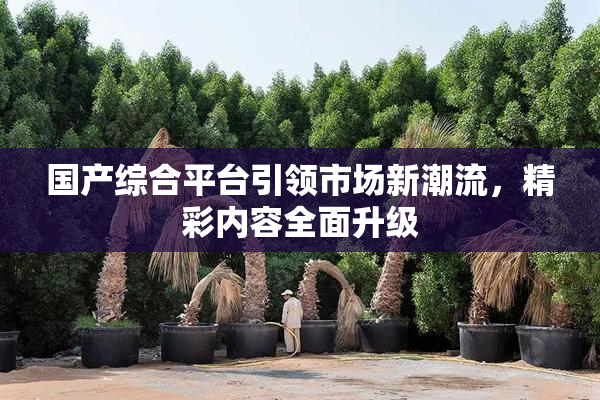 国产综合平台引领市场新潮流，精彩内容全面升级