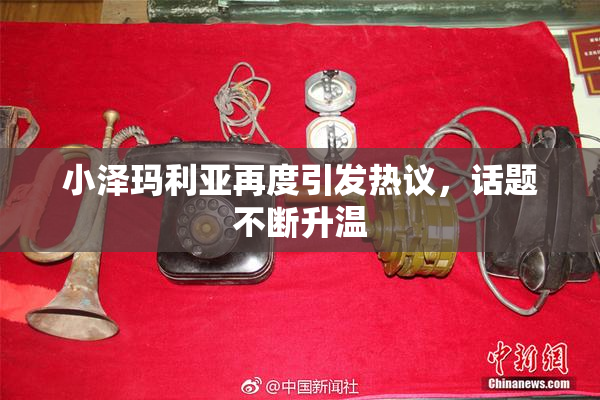 小泽玛利亚再度引发热议，话题不断升温