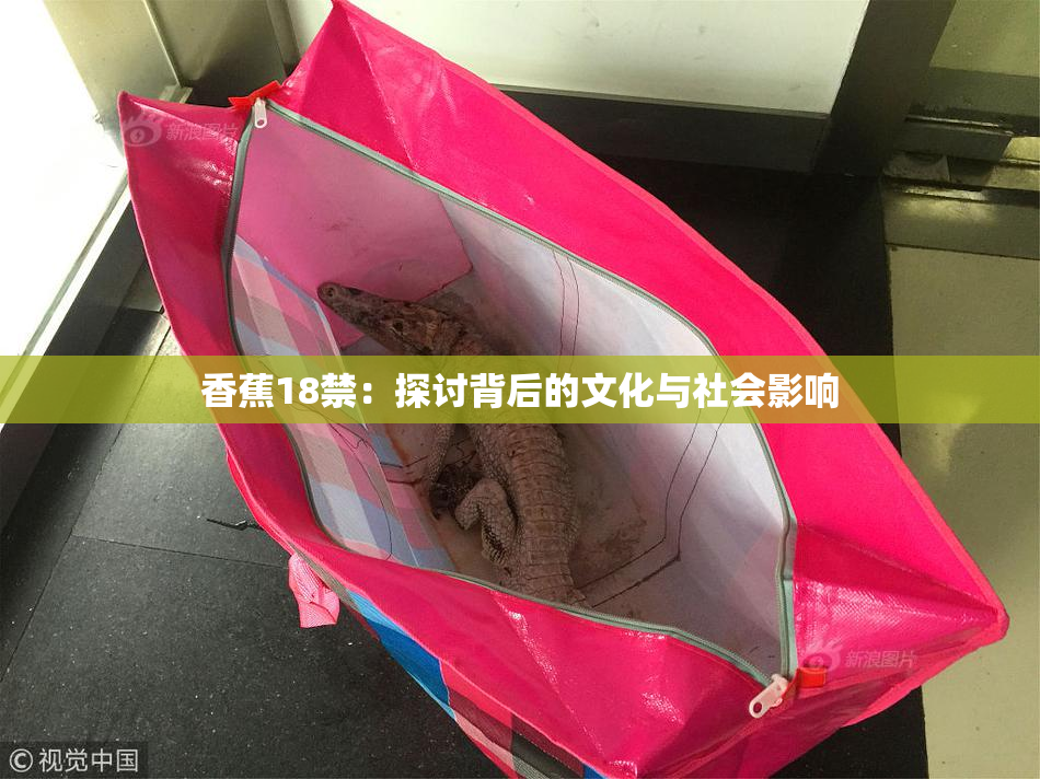 香蕉18禁：探讨背后的文化与社会影响
