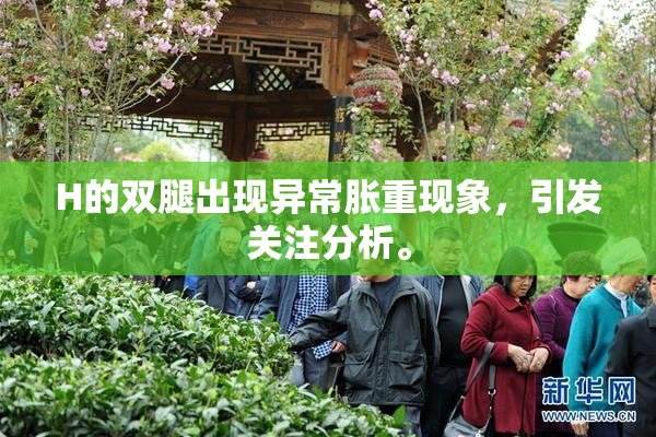 H的双腿出现异常胀重现象，引发关注分析。