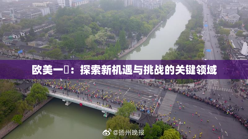 欧美一級：探索新机遇与挑战的关键领域