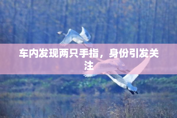 车内发现两只手指，身份引发关注