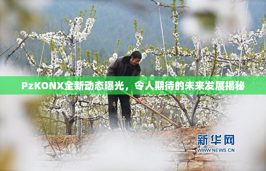 PzKONX全新动态曝光，令人期待的未来发展揭秘