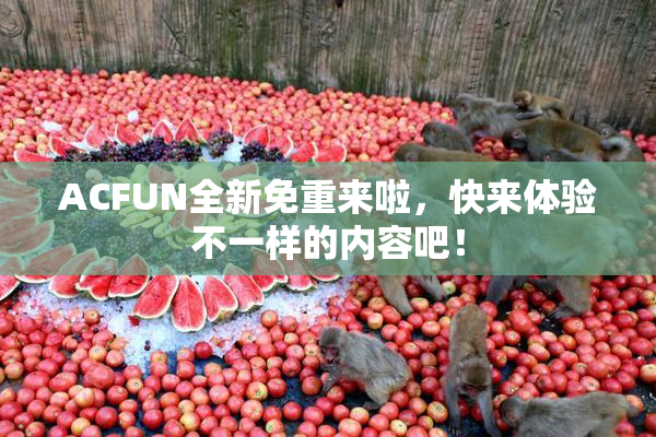 ACFUN全新免重来啦，快来体验不一样的内容吧！