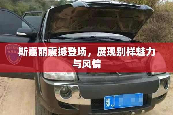 斯嘉丽震撼登场，展现别样魅力与风情