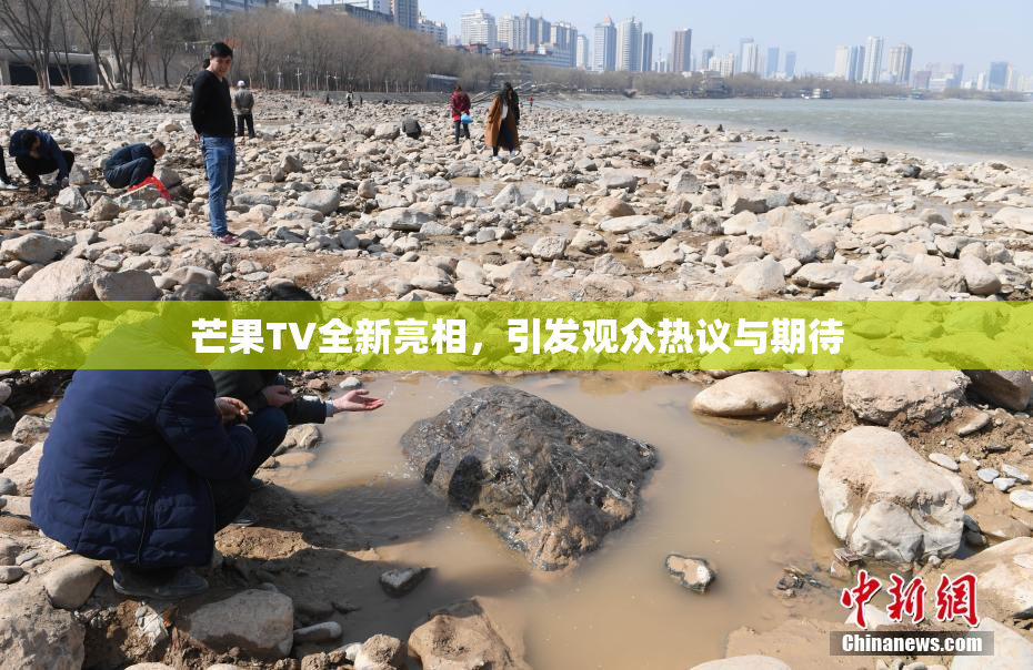 芒果TV全新亮相，引发观众热议与期待