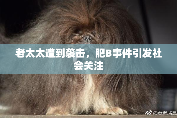 老太太遭到袭击，肥B事件引发社会关注