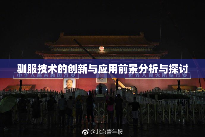 驯服技术的创新与应用前景分析与探讨