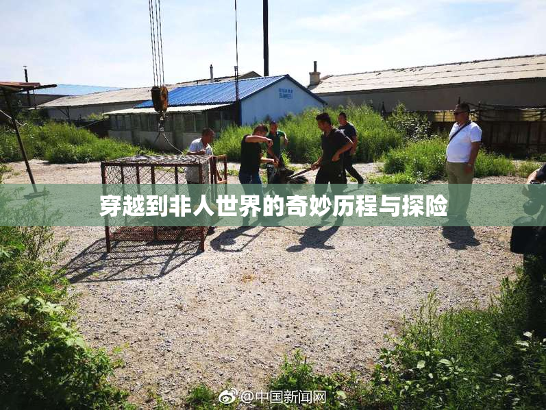 穿越到非人世界的奇妙历程与探险