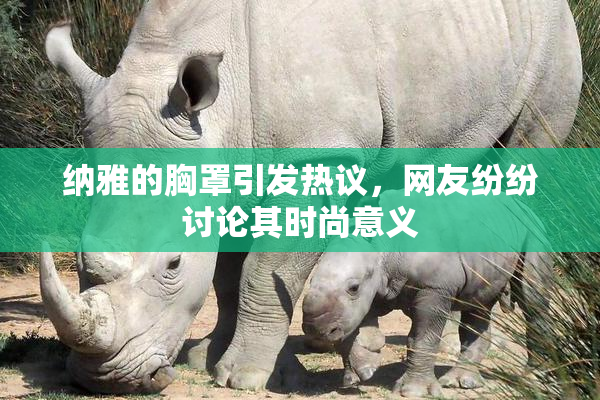 纳雅的胸罩引发热议，网友纷纷讨论其时尚意义