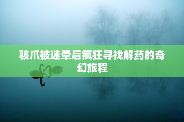 骇爪被迷晕后疯狂寻找解药的奇幻旅程