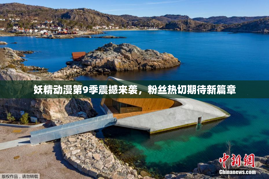 妖精动漫第9季震撼来袭，粉丝热切期待新篇章