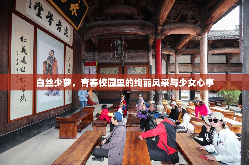 白丝少萝，青春校园里的绚丽风采与少女心事