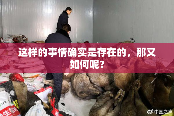 这样的事情确实是存在的，那又如何呢？