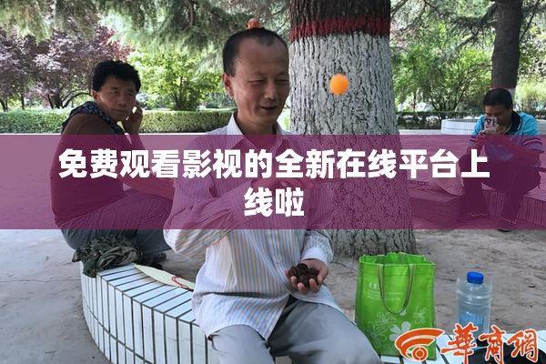 免费观看影视的全新在线平台上线啦