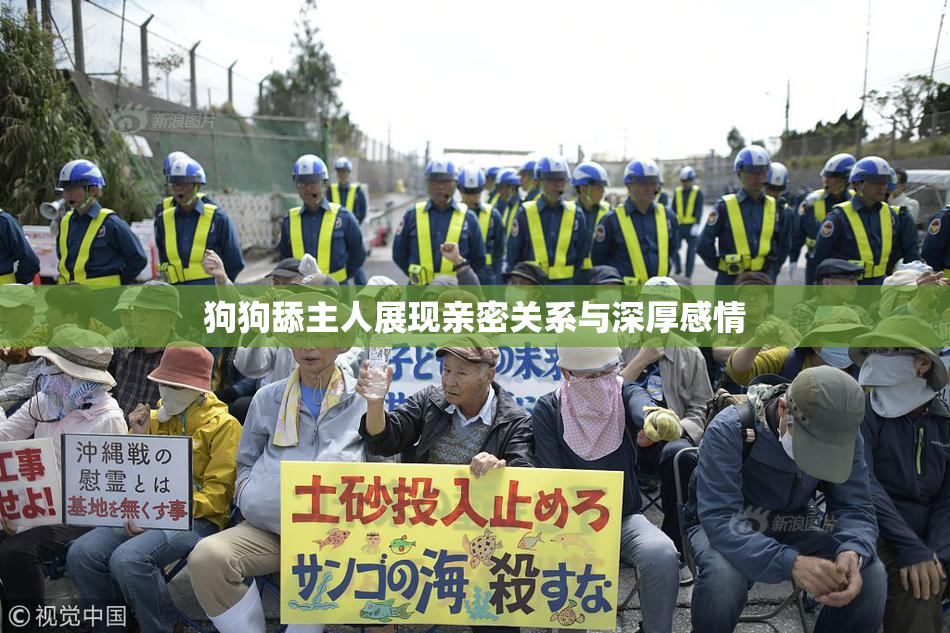 狗狗舔主人展现亲密关系与深厚感情