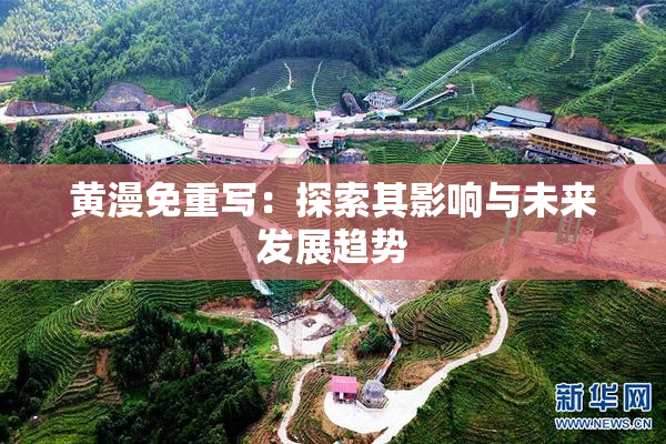 黄漫免重写：探索其影响与未来发展趋势