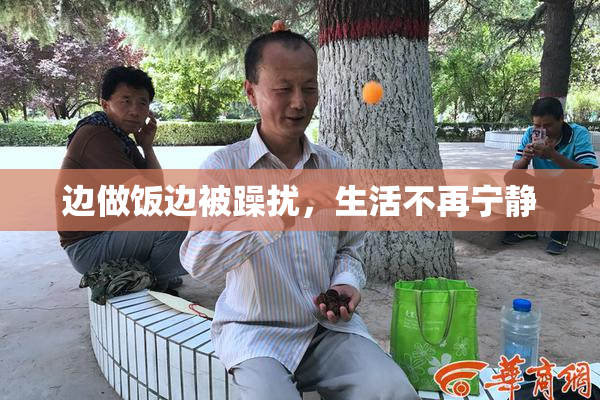 边做饭边被躁扰，生活不再宁静
