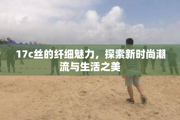 17c丝的纤细魅力，探索新时尚潮流与生活之美