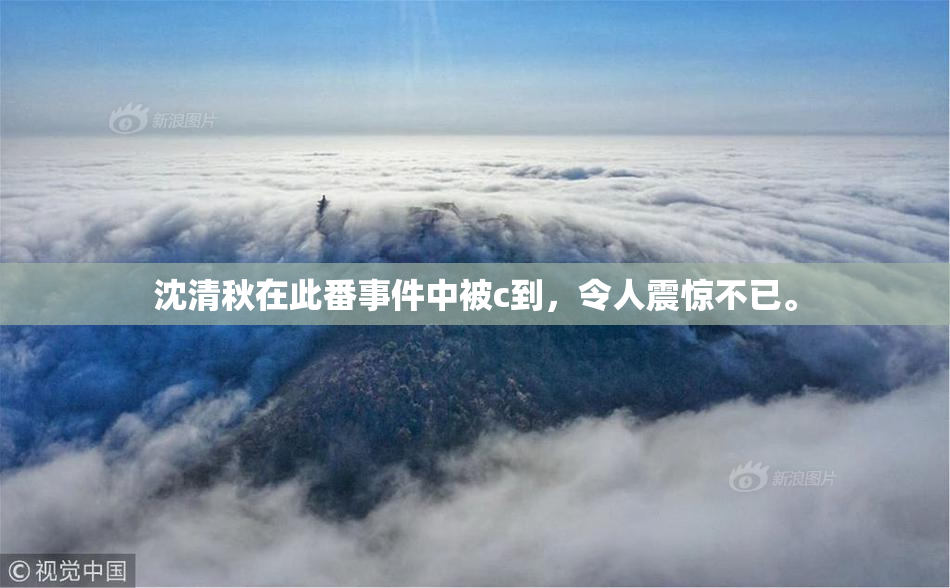 沈清秋在此番事件中被c到，令人震惊不已。