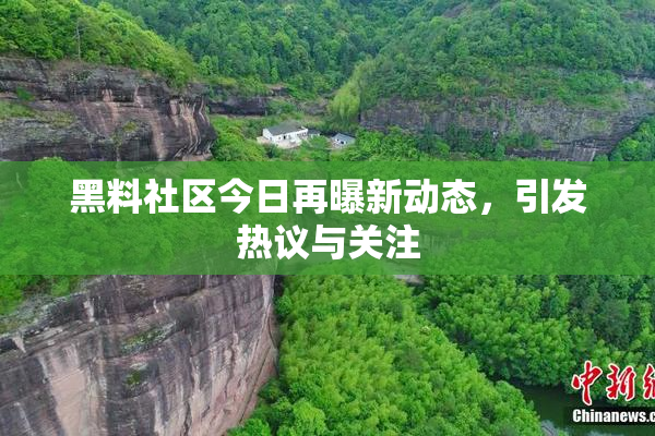 黑料社区今日再曝新动态，引发热议与关注
