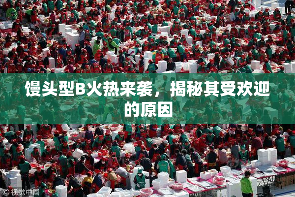 馒头型B火热来袭，揭秘其受欢迎的原因