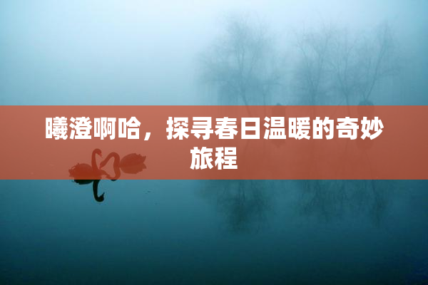曦澄啊哈，探寻春日温暖的奇妙旅程