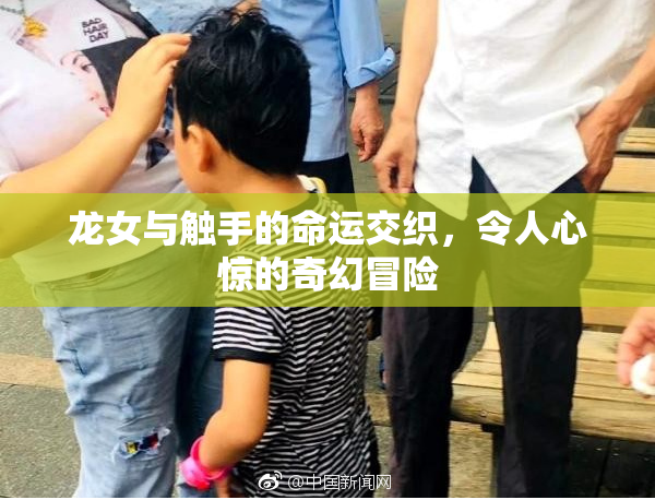 龙女与触手的命运交织，令人心惊的奇幻冒险