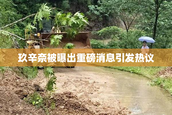 玖辛奈被曝出重磅消息引发热议