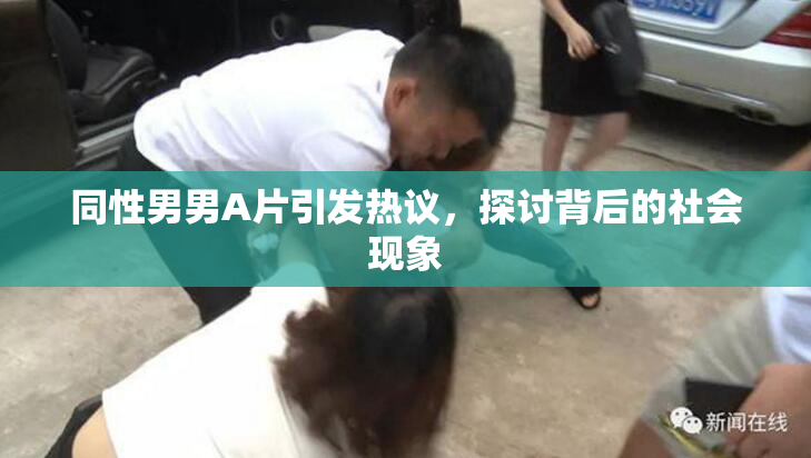 同性男男A片引发热议，探讨背后的社会现象