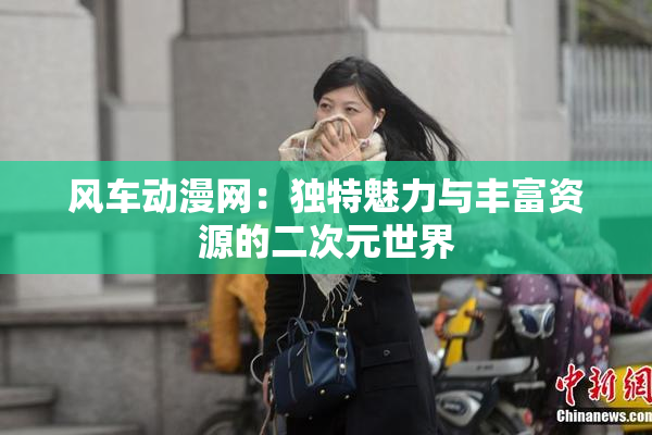 风车动漫网：独特魅力与丰富资源的二次元世界