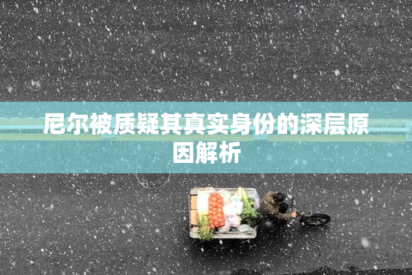 尼尔被质疑其真实身份的深层原因解析