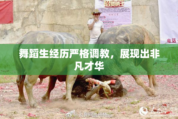 舞蹈生经历严格调教，展现出非凡才华
