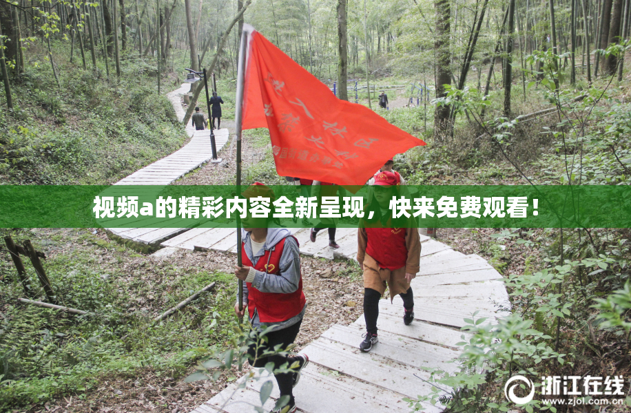 视频a的精彩内容全新呈现，快来免费观看！