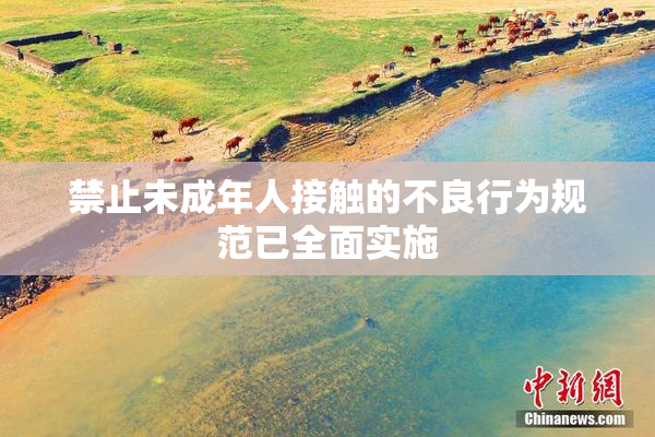 禁止未成年人接触的不良行为规范已全面实施
