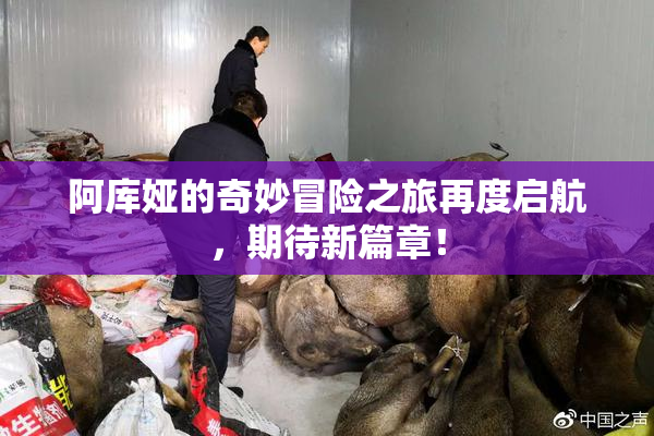 阿库娅的奇妙冒险之旅再度启航，期待新篇章！