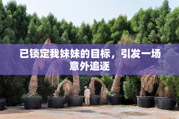 已锁定我妹妹的目标，引发一场意外追逐