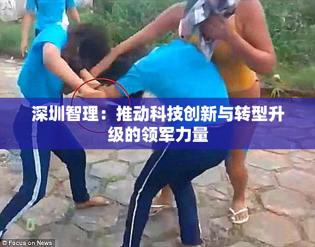 深圳智理：推动科技创新与转型升级的领军力量
