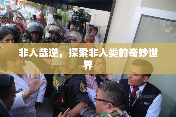 非人哉逆，探索非人类的奇妙世界