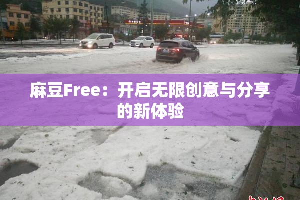 麻豆Free：开启无限创意与分享的新体验