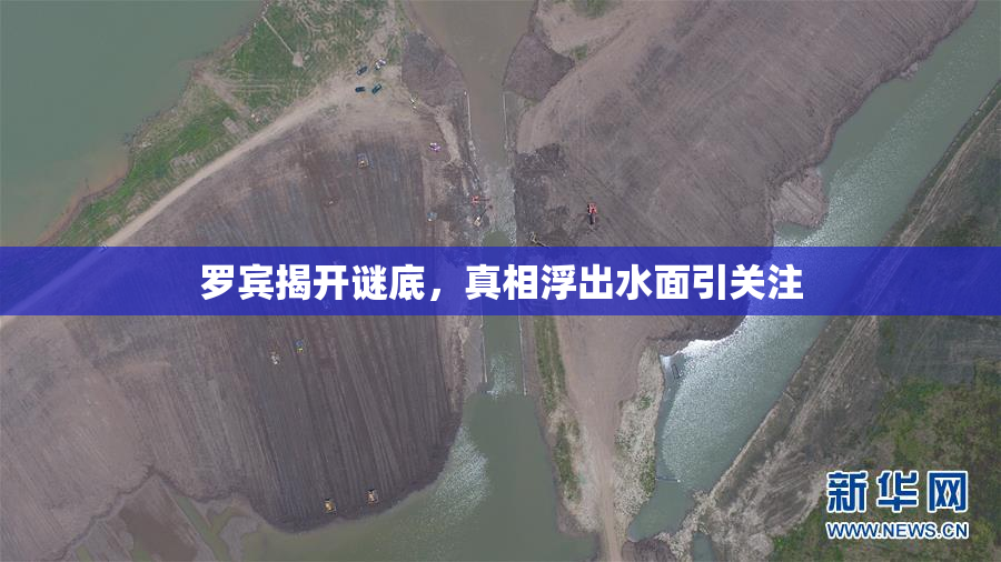 罗宾揭开谜底，真相浮出水面引关注
