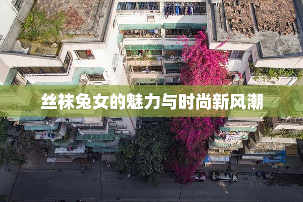 丝袜兔女的魅力与时尚新风潮