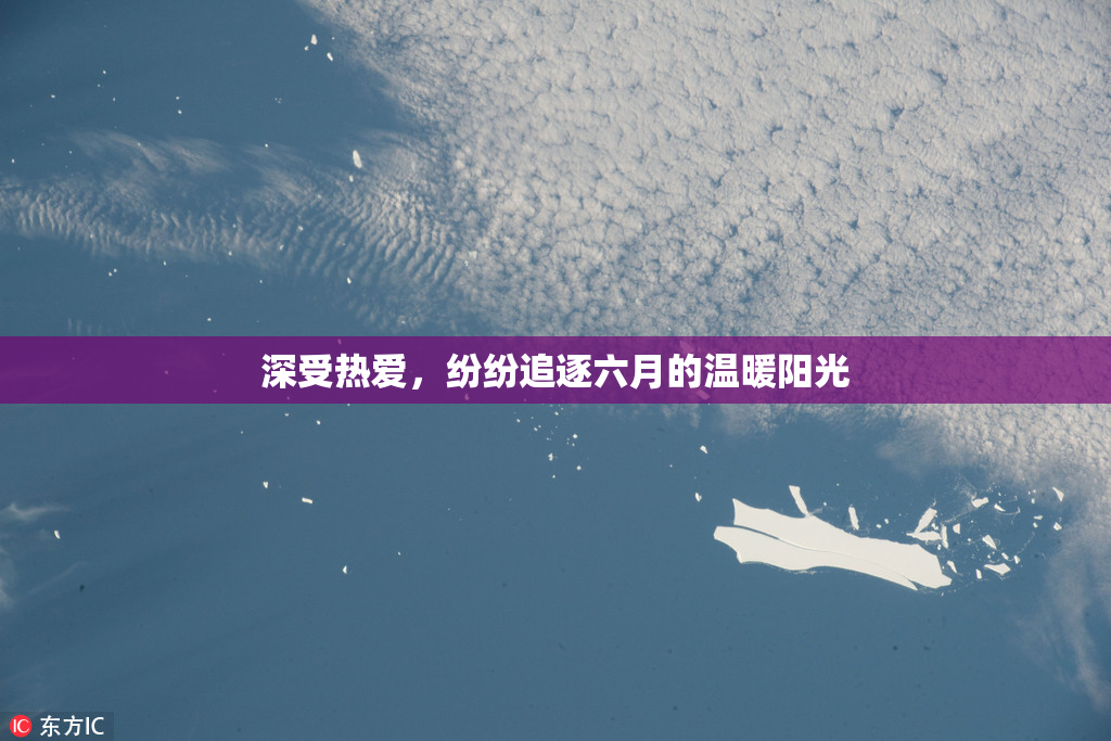 深受热爱，纷纷追逐六月的温暖阳光