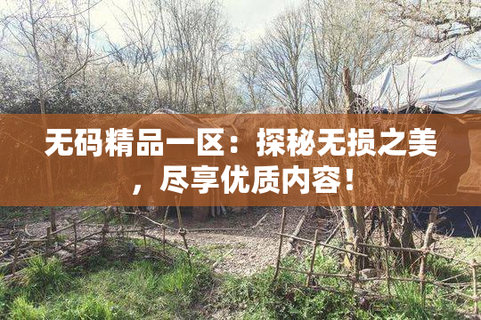 无码精品一区：探秘无损之美，尽享优质内容！