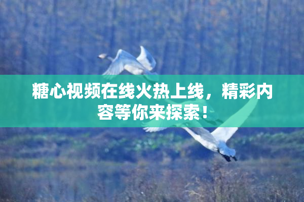 糖心视频在线火热上线，精彩内容等你来探索！