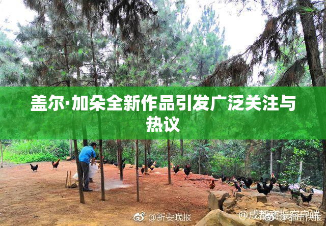 盖尔·加朵全新作品引发广泛关注与热议