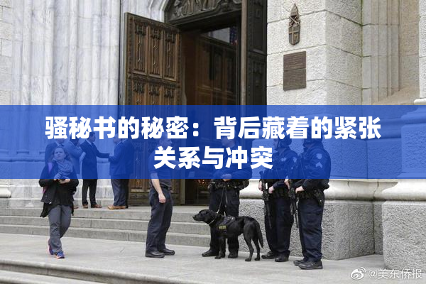 骚秘书的秘密：背后藏着的紧张关系与冲突
